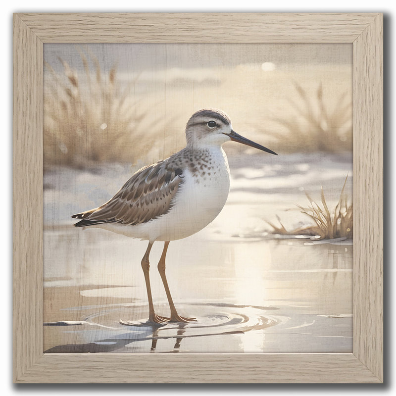 Sandpiper I Framed Wall Art