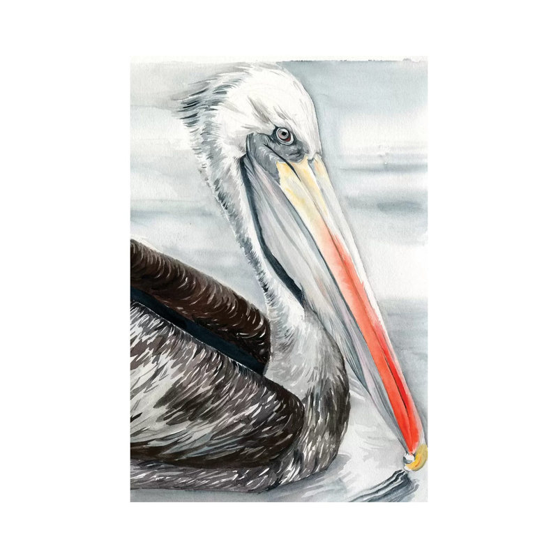 Grey Pelican I by Jennifer Paxton Parker - Wrapped Canvas Print, 101.6cm H x 66.04cm W