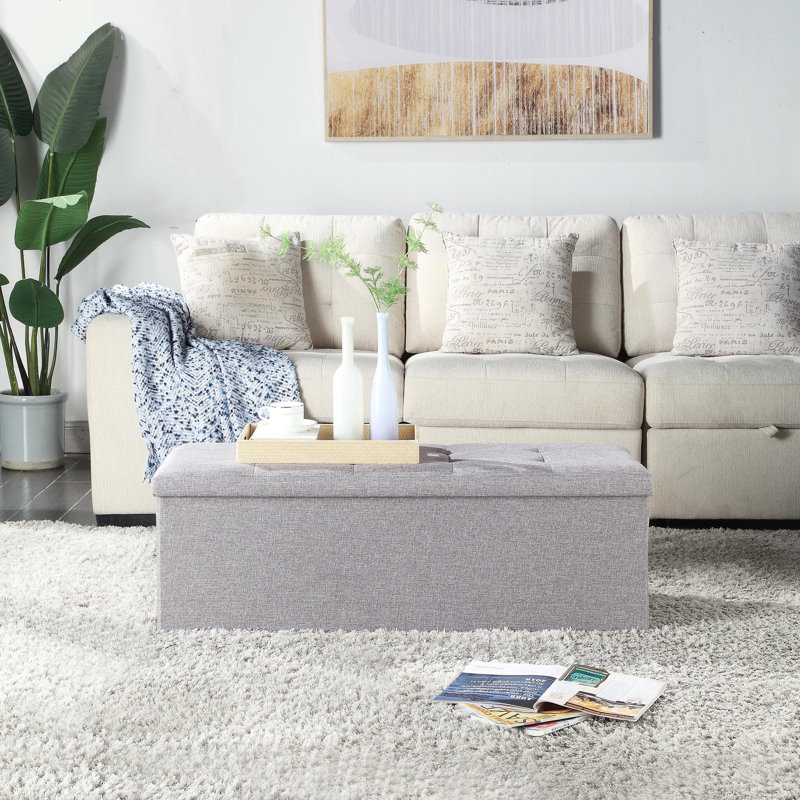Binette 109cm Wide Tufted Rectangle Solid Colour Ottoman with Storage