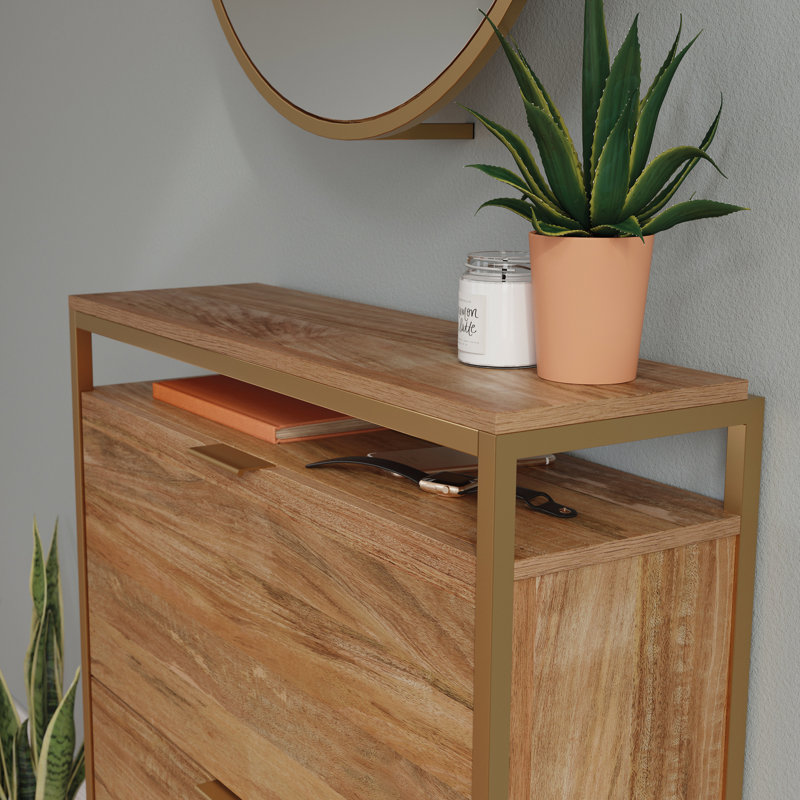 Sindoori Mango Wall-Mounted Shoe Cabinet with Mirror