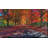 " Painted Forest Path "-29334127