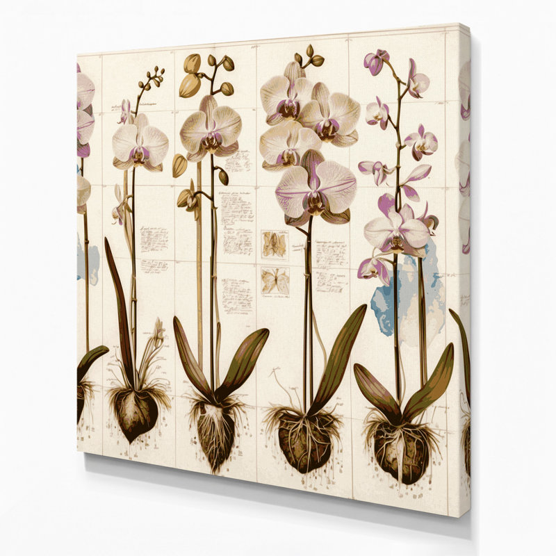 Art botanique sur toile Botanical, H 16 po x l 16 po