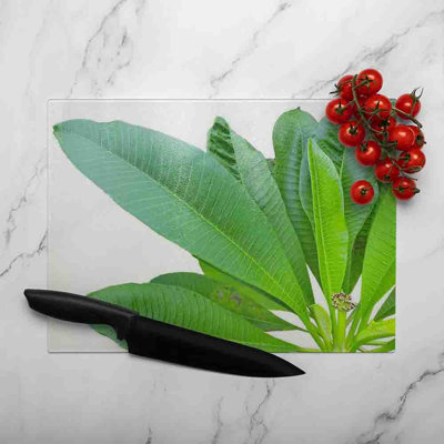 Collection Of Leaves On White Glass Chopping Board