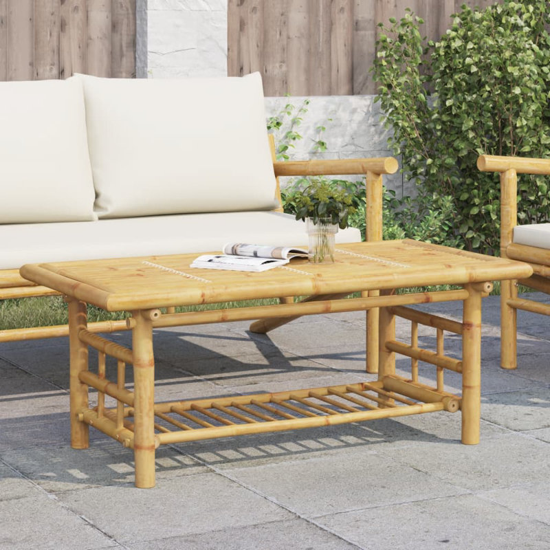 Ammy Solid Wood Coffee Table with Storage