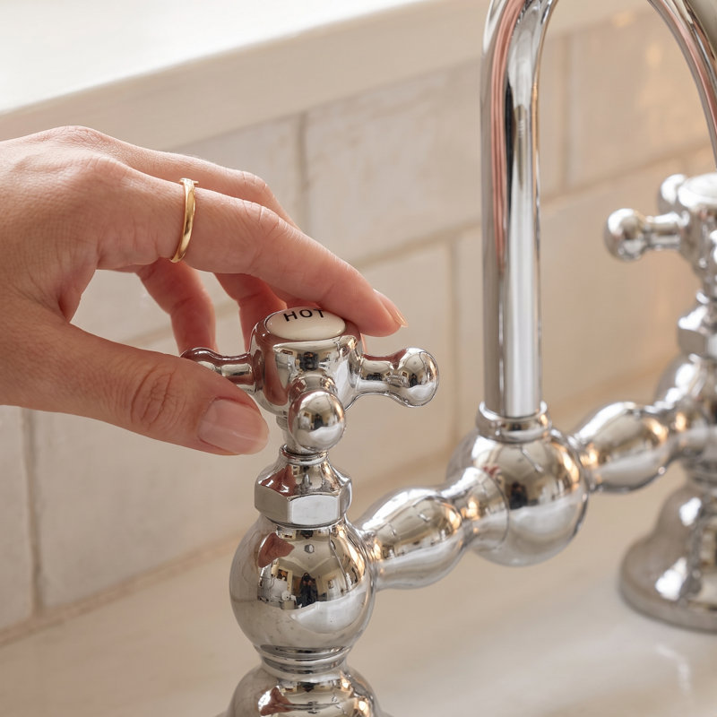 Columbia Gooseneck Bridge Faucet by Strom Living, Unlacquered Oil Rubbed Bronze