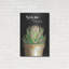 «You Are Love Cactus» par Cindy Jac