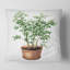 Carré, pot de fleurs en argile Ficus benjamina - imprimé traditionnel-60158195
