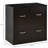 File Cabinet With 2 Drawers And Lock, , Home Office Storage Optimizer, 110 Lbs Capacity, 29.45" W X 16.5" D 28.83" H -Colored Vertical 2 Storage,