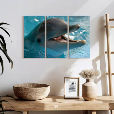 Delighted Dolphin