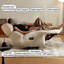 Clare-750750142