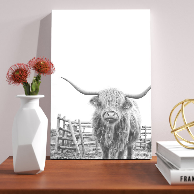 Noir et blanc Highland Cow - impression, H 18 po x l 12 po