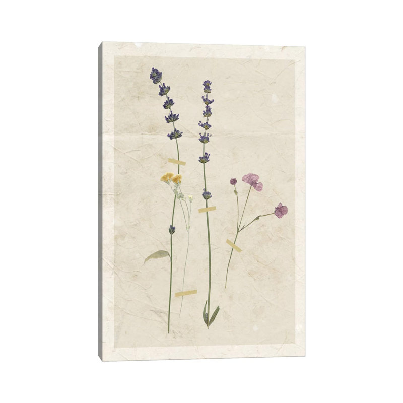 Pressed Lavender II by Carol Robinson - Wrapped Canvas Painting, 20.32 cm H x 30.48 cm W