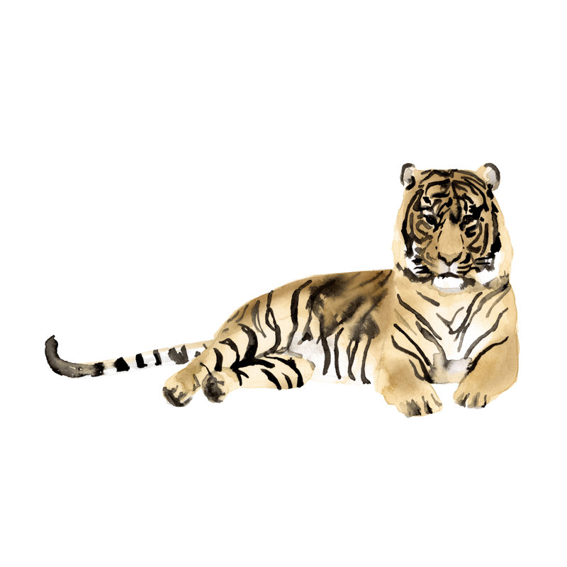 Tigre aquarelle II, H 20 po x l 30 po x P 1,25 po