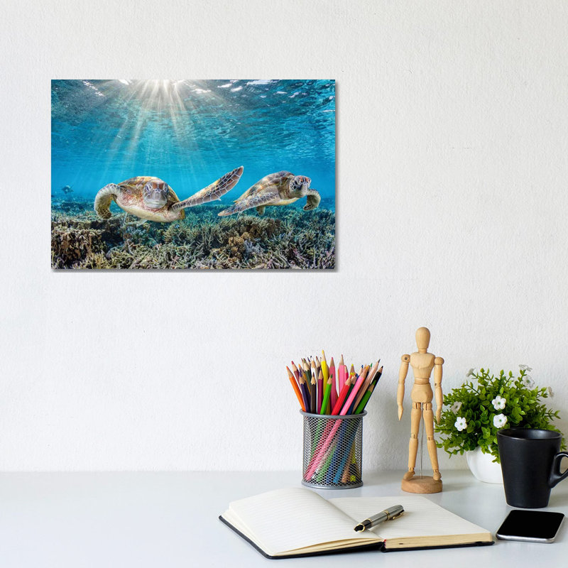 Fin Slapping by Jordan Robins - Print on Canvas, 30.48 cm H x 45.72 cm W, No Framed
