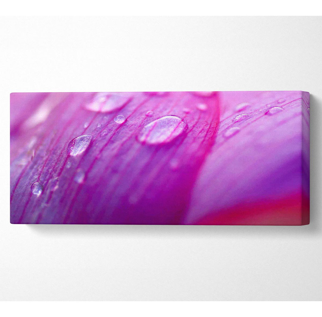 Pink Petal Dewdrop Beauty - Leinwanddrucke auf Leinwand