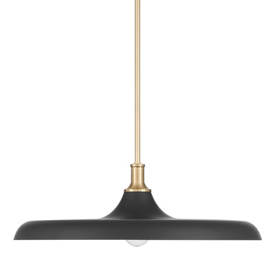 Grand luminaire suspendu 1 lumière Hunter Moriso