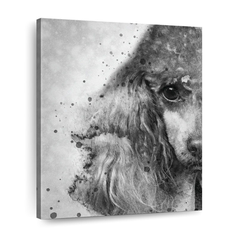 Poodle Face noir et blanc - reproduction sur toile tendue, H 10 po x l 8 po x P 1 po