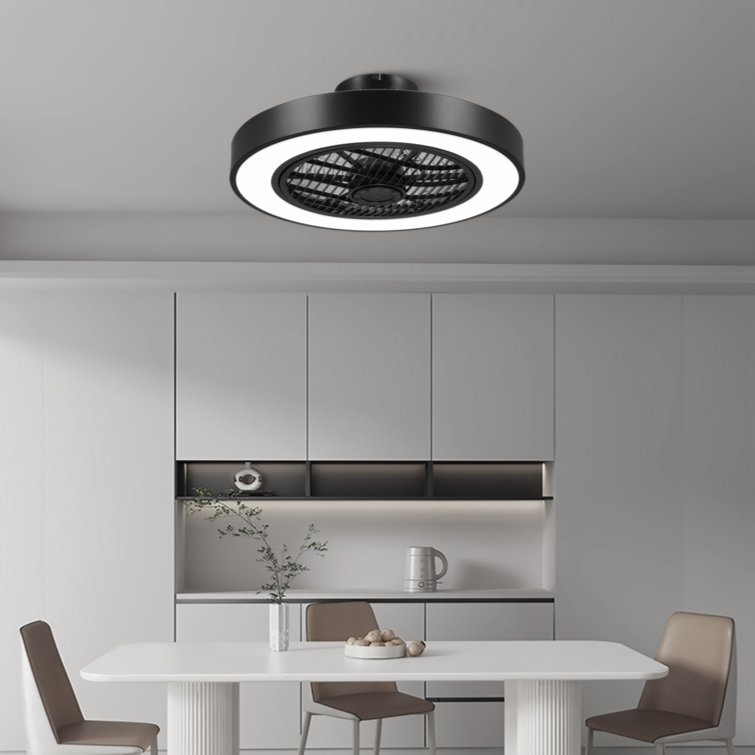19.69'' Ceiling Fan with LED Lights