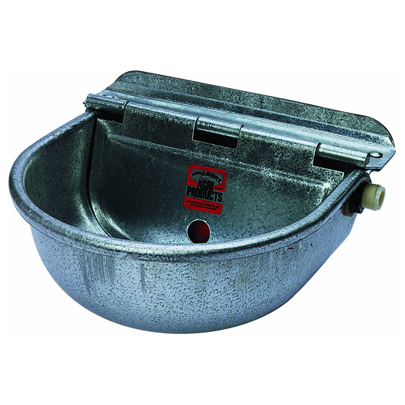 Distributeur d'eau automatique