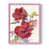 Rose n'est pas disponible