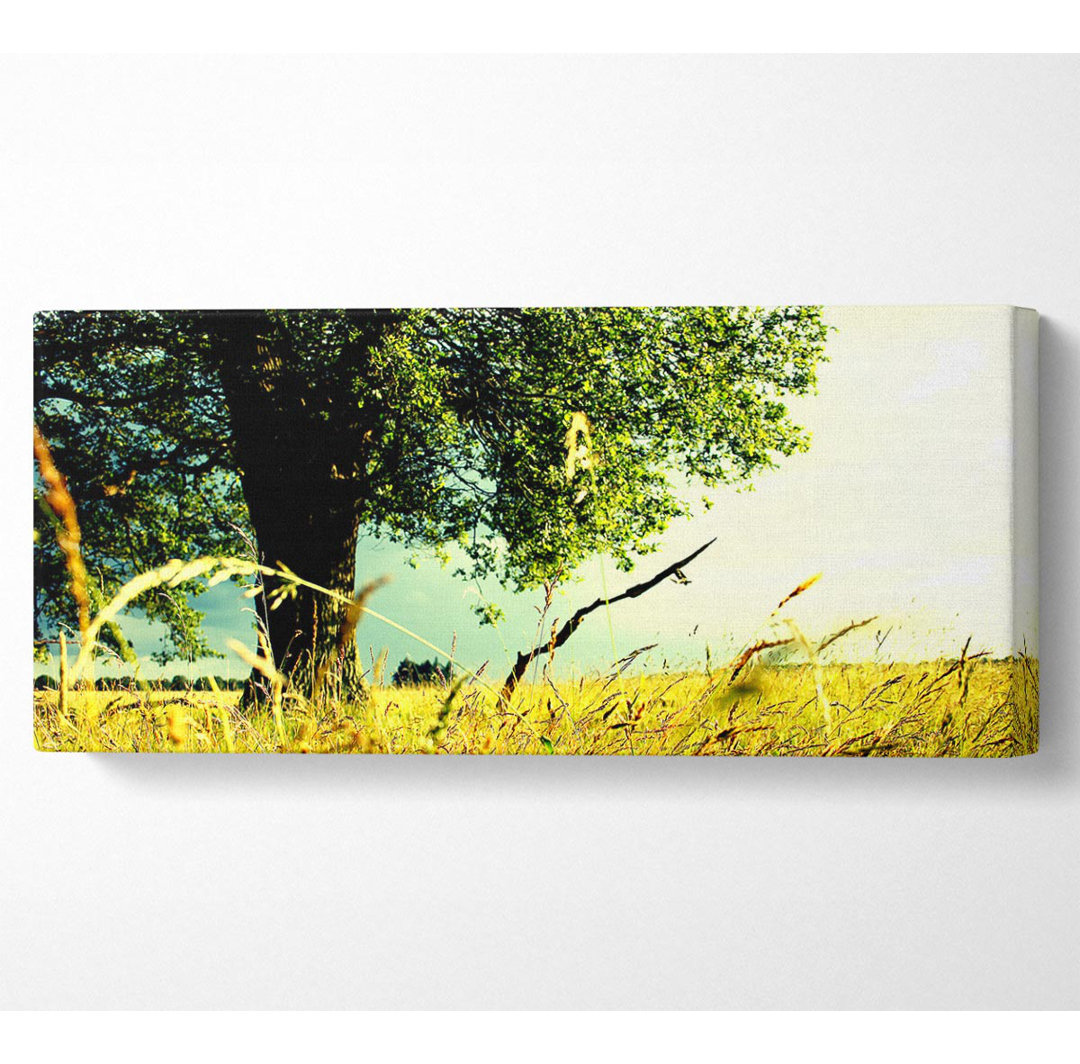 Sommerfeld - Kunstdrucke auf Leinwand - Wrapped Canvas