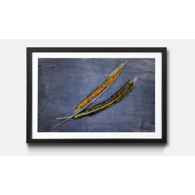 Streetart Two Feathers - Single Picture Frame Print, 64cm H x 84cm W x 2.2cm D