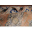 Tapis traditionnel délavé 6 x 9
