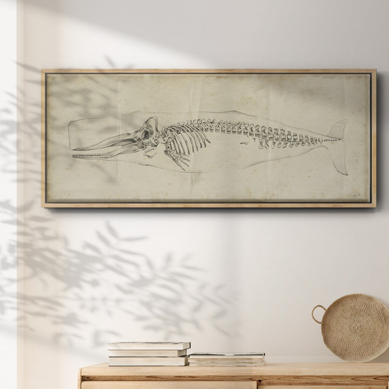 " Whale Study II ", Natural, 24" H x 60" W x 1.5" D