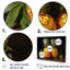 Pinapple Golden Harvest Delights-97080875-97080878