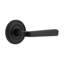 Ageless Iron Loch Rosette with Lance Lever-53146894-53146893