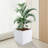Sieme Metal Planter Box-498017317