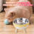 Elevated Dog Bowls Diameter 5.6 In Protect Cervical Vertebrae-119346580