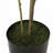 47.2"H ARTIFICIAL PIERIS TREE