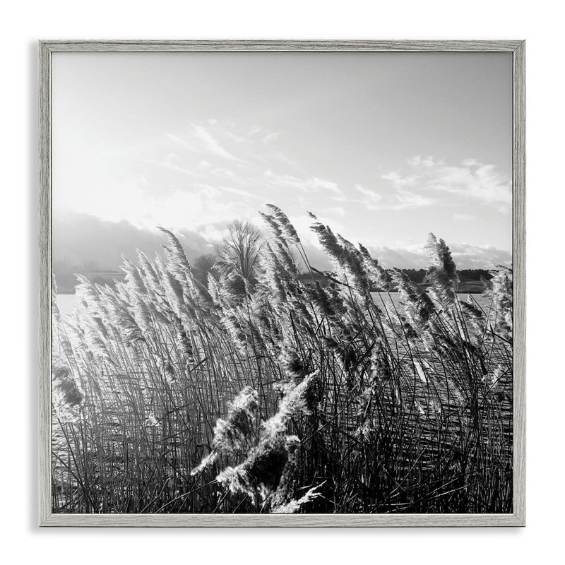 «Tall Grass Lake Water Landscape» par Sarah Jane - photographie, H 24 po x l 24 po, Estampe numérique Farmhouse