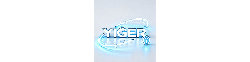 Logo YIGER