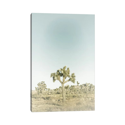 Parc national de Joshua Tree | Vintage par Melanie Viola - Estampe numérique sur toile tendue avec châssis