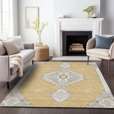 Machine Washable Indoor/Outdoor Chayden ACN1014 Rug
