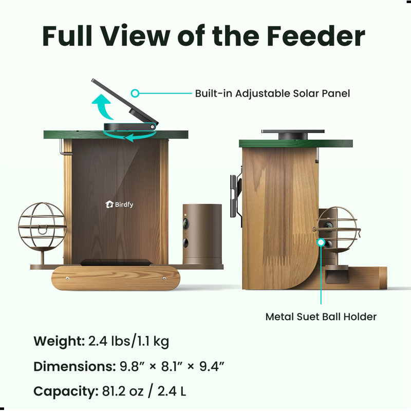 Pole Hopper and Suet Bird Feeder