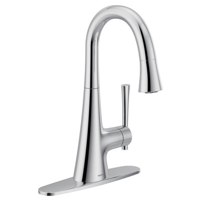 Kurv Single Handle Kitchen Faucet with Accessories