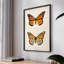 «Vintage Animal Print XXII», reproduction encadrée sur papier-796735715-796735713