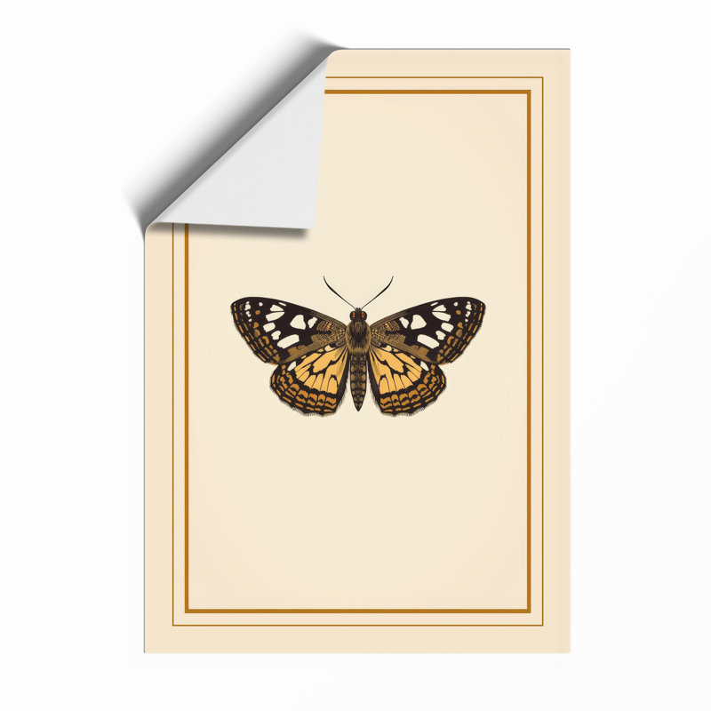 Butterfly Specimen Study Botanical - Framed Print, A4 - 29.7 x 21.0 cm, Unframed