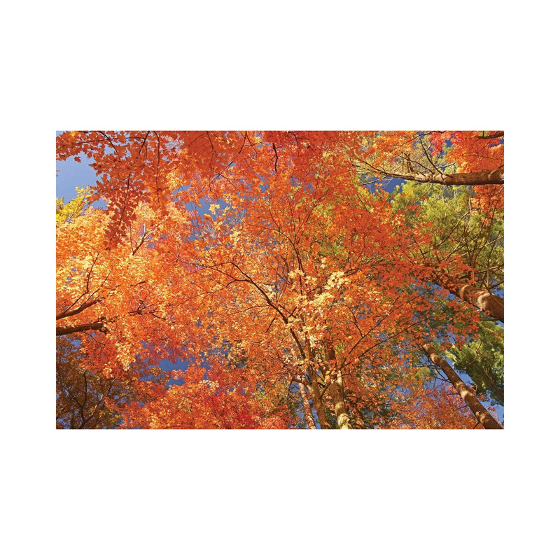 Nature's Kaleidescope by Brian Wolf - Wrapped Canvas Print, 66.04 cm H x 45.72 cm W x 3.175 cm D