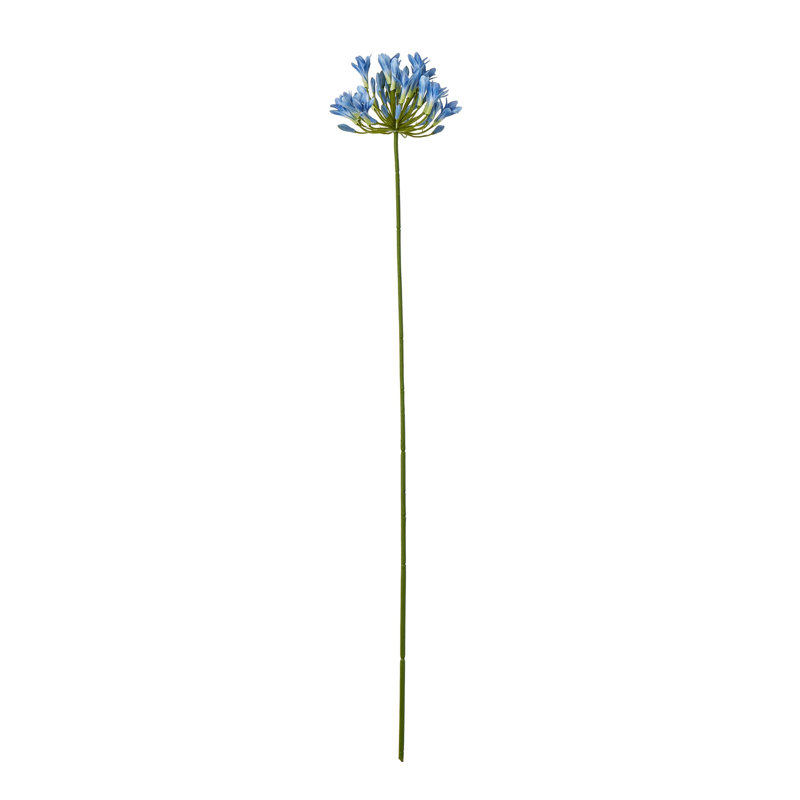 Anastasija Arrangement, Blue