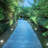 Solar Powered Integrated LED Pathway Light Pack-86622732