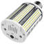30 Watt White LED Bulb