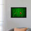 Ladybug And Chameleon - Print on Canvas-42160295-89233869