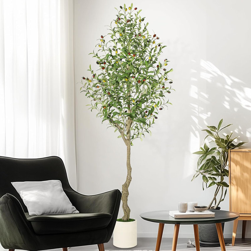 59.06cm Plant, 1