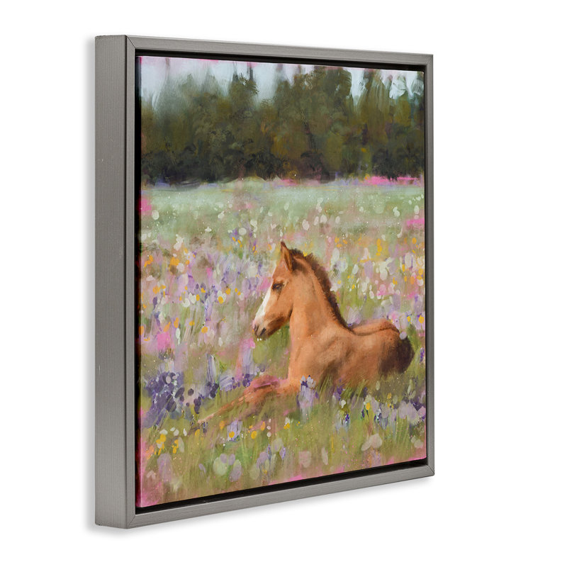 Poulain poulain se prélassant dans un pré de fleurs, Cadre flottant gris lustré, H 25 po x l 25 po