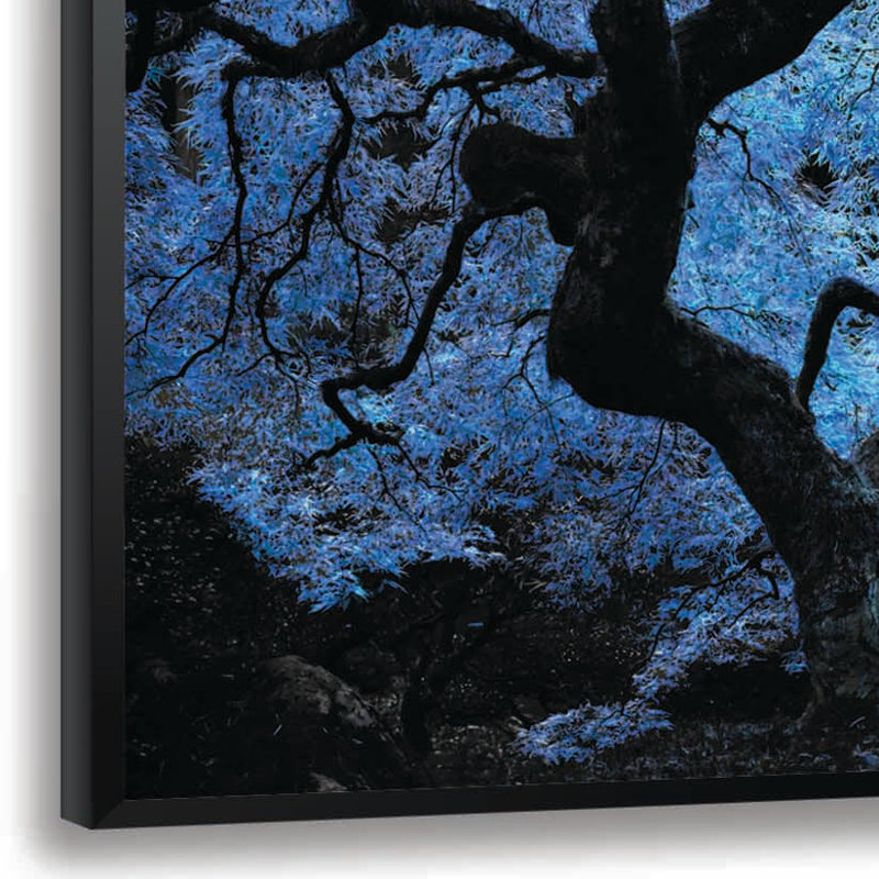 « japanese érable tree », reproduction d’impression encadrée en bleu, H 14 po x l 18 po