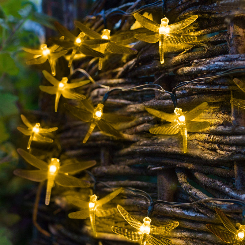 Ellie-Ann Indoor 30 - Bulb 275'' Solar Powered LED Novelty String Light, Warm White